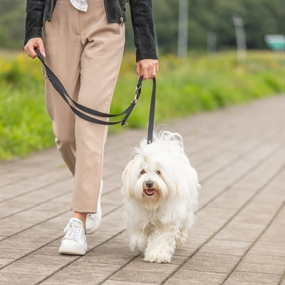 Trixie Hondenriem Premium Dubbelgestikt Verstelbaar Zwart