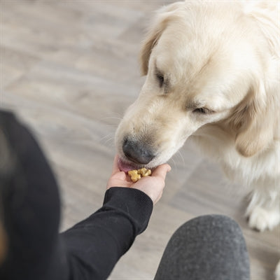 Trixie Bakmat Met Botjes Voor Hond Silicone